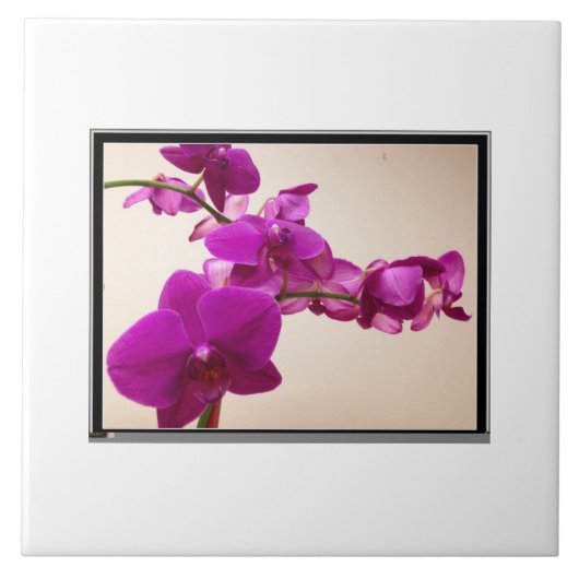 Carreau Orchidée rose (Devant)
