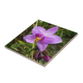 Carreau Orchidée sauvage violette Fleur tropicale (Côté)