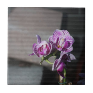 Carreau Orchidée violette