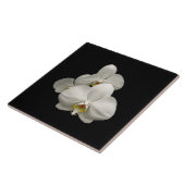 Carreau Orchidées blanches (Côté)