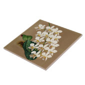 Carreau Orchidées Blanches Impression Botanique, Arrière - (Côté)