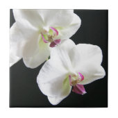 Carreau Orchidées blanches sur le noir (Devant)