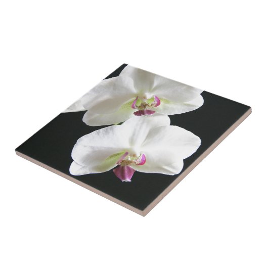 Carreau Orchidées blanches sur le noir (Côté)