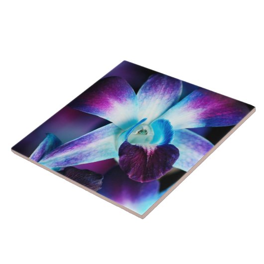 Carreau Orchidées customisées par orchidée pourpre de (Côté)