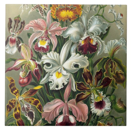 Carreau Orchidées d'art - Formes d'art de la nature (Devant)