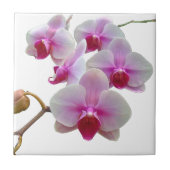 Carreau Orchidées de mite roses - Phalaenopsis (Devant)