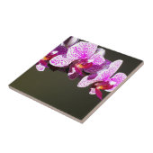 Carreau Orchidées roses fleurs tropicales roses (Côté)