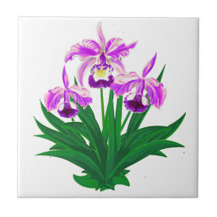 Carreau Orchidées sauvages - Orchidées violettes et feuill