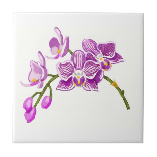 Carreau Orchids (Devant)