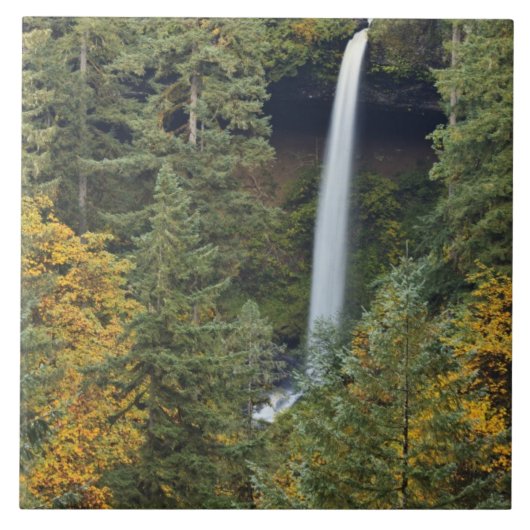 Carreau Oregon, parc d'État de Silver Falls, North Falls (Devant)