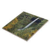 Carreau Oregon, parc d'État de Silver Falls, North Falls (Côté)