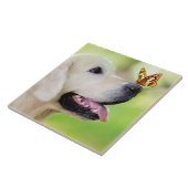 Carreau Oreiller À Lancer Du Labrador Et Du Papillon (Côté)