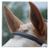 Carreau oreilles de cheval (Devant)