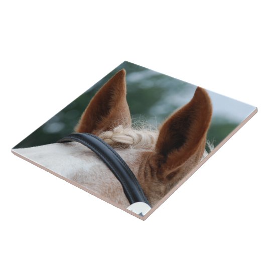 Carreau oreilles de cheval (Côté)