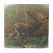 Carreau Orignaux (Devant)