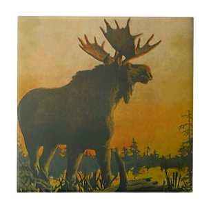Carreau Orignaux de faune dans la tuile d'âne de marais d