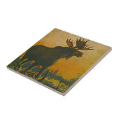 Carreau Orignaux de faune dans la tuile d'âne de marais de (Côté)