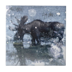Carreau orignaux de taureau de faune de région sauvage