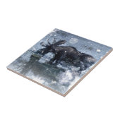 Carreau orignaux de taureau de faune de région sauvage (Côté)