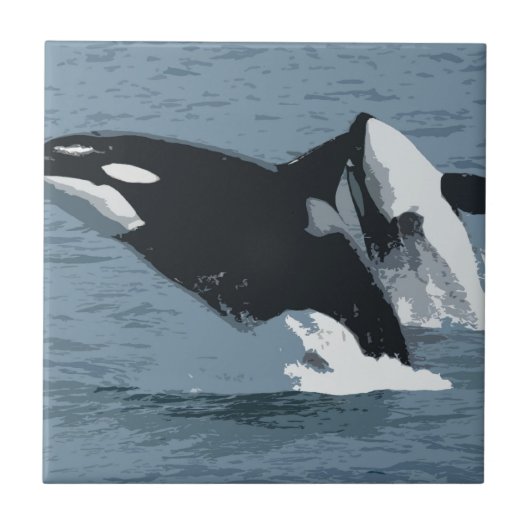 Carreau Orka Whale (Devant)