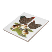 Carreau Orpington Jubilee Famille de poulet (Côté)