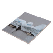 Carreau orques (orques), orques orques, pod (Côté)