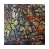 Carreau Os de dinosaure coloré (Devant)