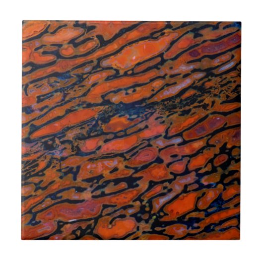 Carreau Os de dinosaure de Petria rouge (Devant)