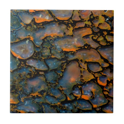 Carreau Os de dinosaure d'Orange Petrifié (Devant)