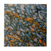 Carreau Os de dinosaure pétrifié (Devant)