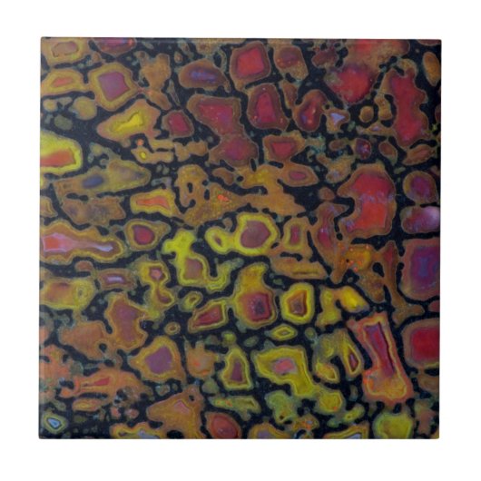 Carreau Os de dinosaure petrifié arc-en-ciel (Devant)