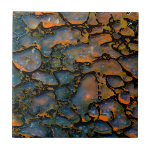 Carreau Os de dinosaure pétrifié orange