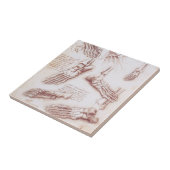 Carreau Os de pied anatomiques humaines de Léonard de Vinc (Côté)