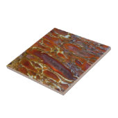 Carreau Os Petrifié de Dinosaure (Côté)