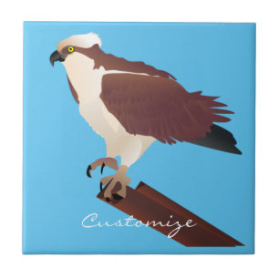 Carreau Osprey Hawk Raptor Thunder_Cove