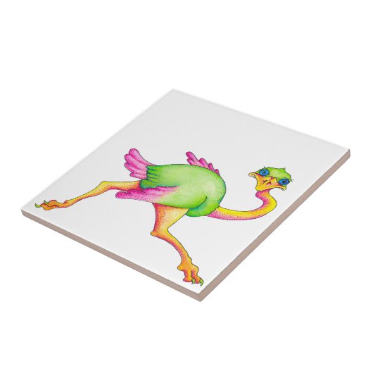 Carreau Ostrich rare (Côté)