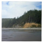 Carreau Oswald West State Park, Oregon Coast (Devant)