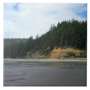 Carreau Oswald West State Park, Oregon Coast