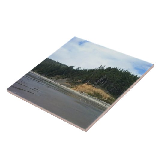 Carreau Oswald West State Park, Oregon Coast (Côté)