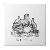 Carreau Otarie de Steller (Devant)