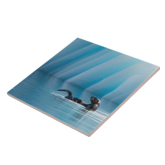 Carreau Otter de mer joueuse (Côté)