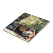 CARREAU OTTERS (Côté)