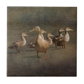 Carreau Où maintenant ?