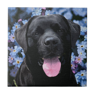Carreau Oubliez-moi le noeud - Black Labrador