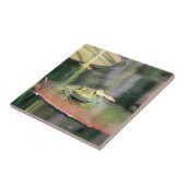 Carreau Oui (Côté)
