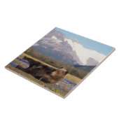 Carreau ours Brown, grizzli s'étirant sur le dos (Côté)