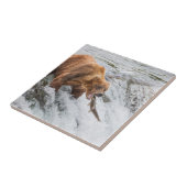 Carreau Ours brun attrape un saumon rouge (Côté)