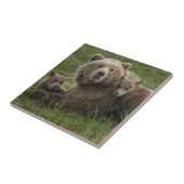 Carreau Ours bruns oursons câlinant leur mère (Côté)