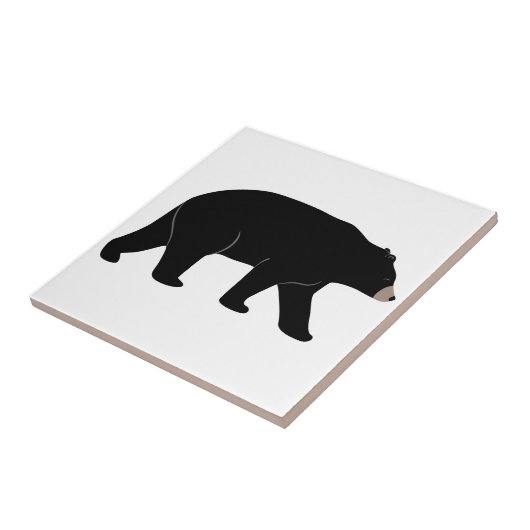 Carreau Ours noir (Côté)