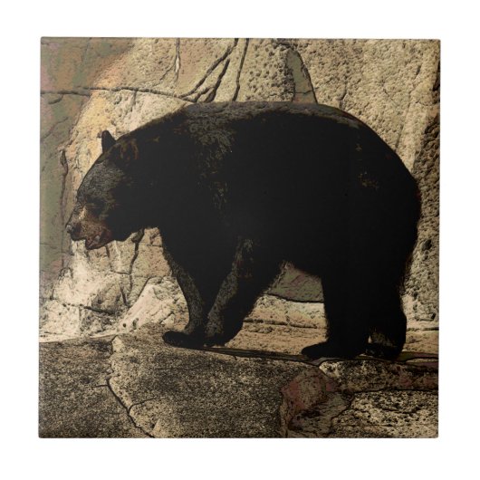 Carreau Ours noir (illustrations originales) (Devant)